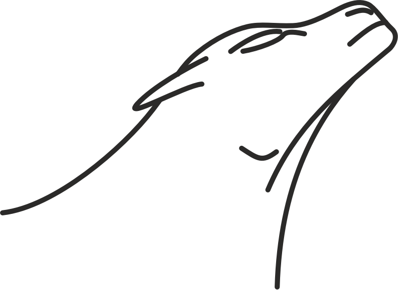 Medium Image - Clip Art (800x583), Png Download