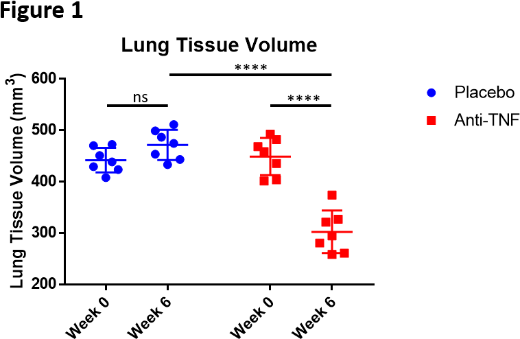 Tnf Tg Mice Lungs That Was No Longer Present After - Diagram (806x586), Png Download