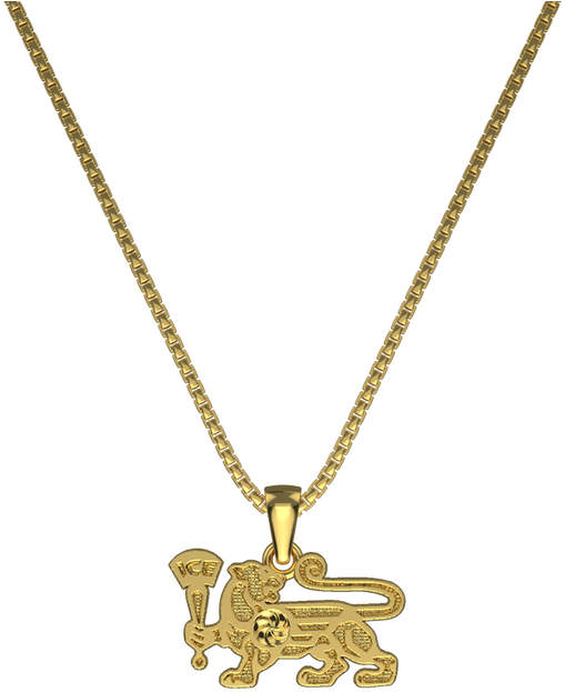 Small Gold Lioness Logo Necklace - Locket (1024x1024), Png Download