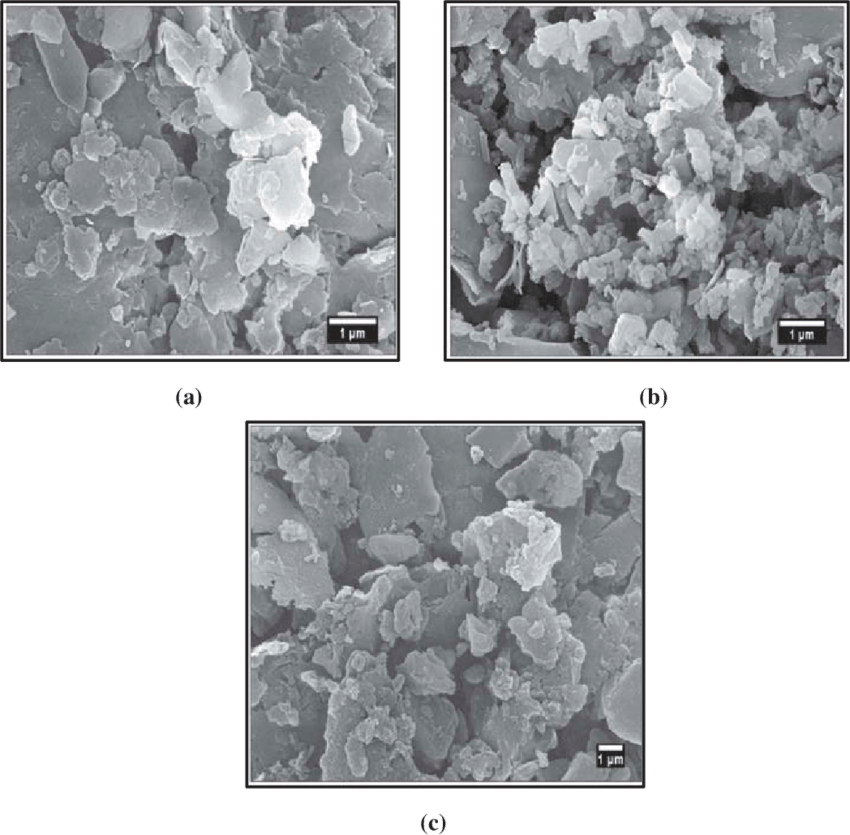 Surface Morphology - Aged Rat Skin Ultrastructure (850x835), Png Download