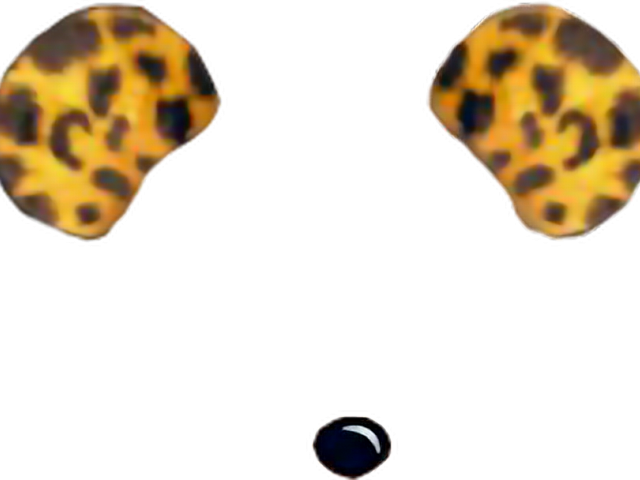 Snapchat Filters Tiger Png (640x480), Png Download