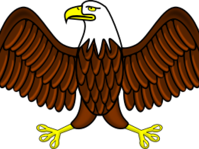 Phillipine Eagle Clipart Vector - Eagle Clipart (640x480), Png Download