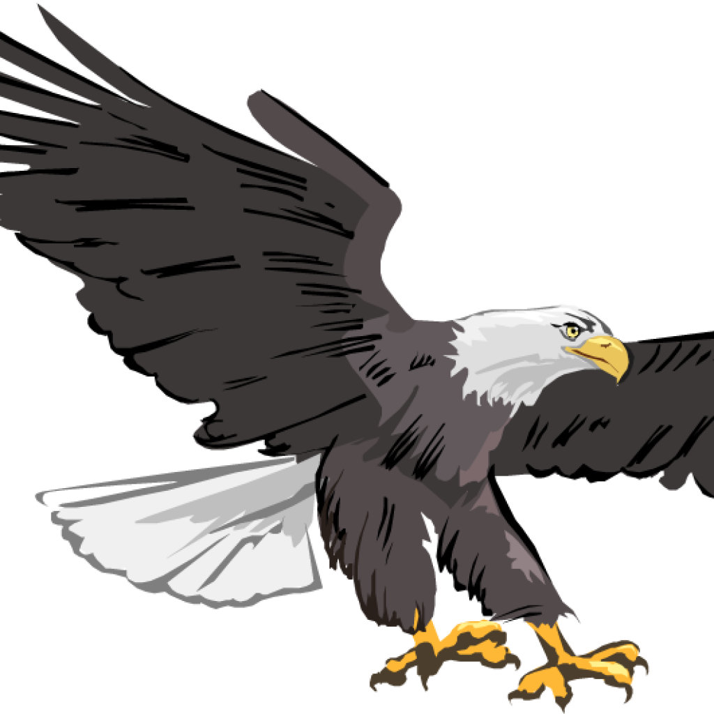 Clip Library Library Free Hatenylo Com Bald Images - Eagle Clipart (1024x1024), Png Download