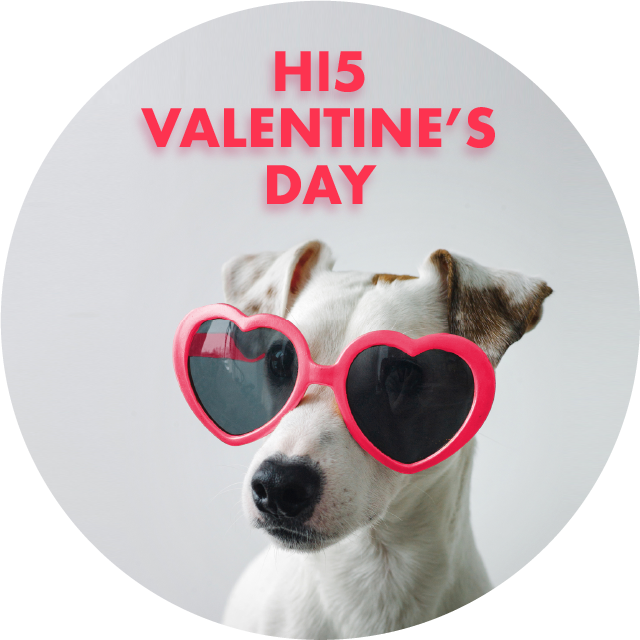 For The Boo Of Your Life - Companion Dog (640x640), Png Download