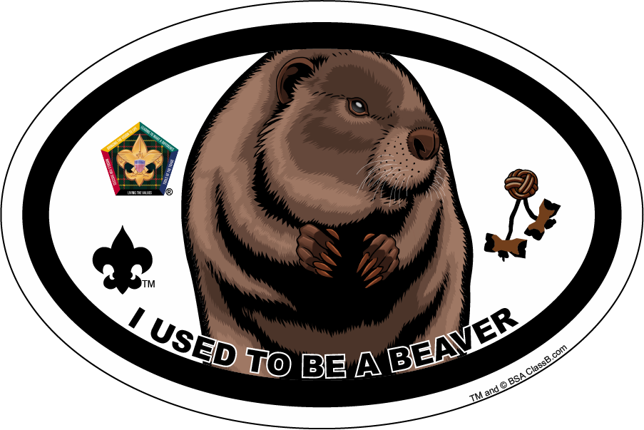 Categories - Wood Badge Buffalo (903x603), Png Download