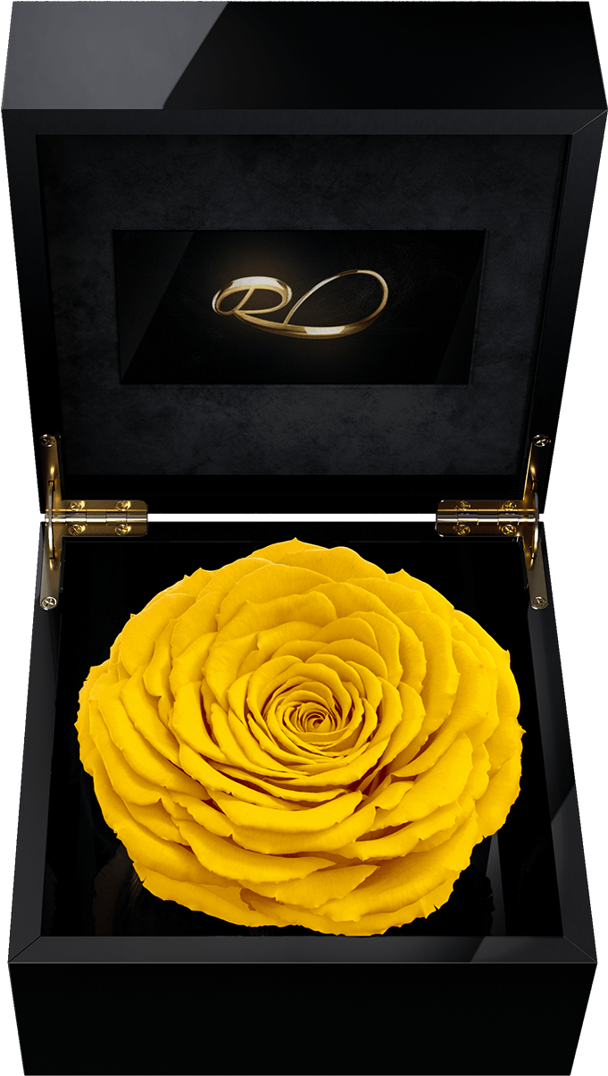 Luxury Video Flower Box Magna With A Xl Preserved Yellow - Rose (1500x1500), Png Download