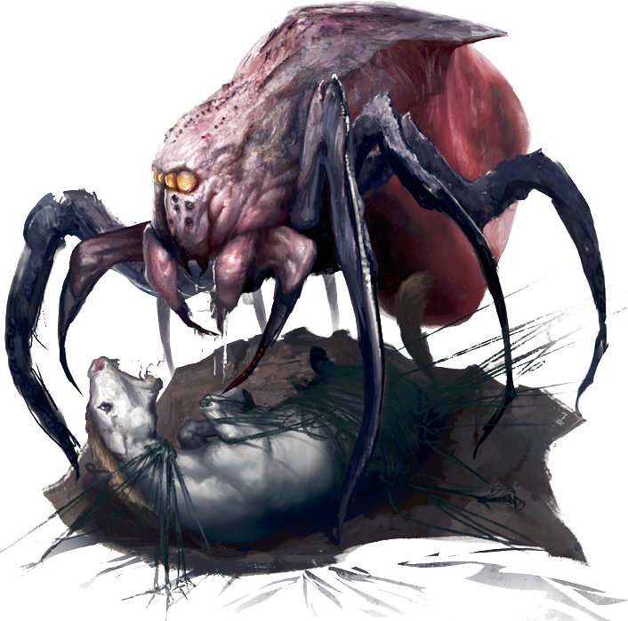 Leng - Spider - 01 - Illustration (706x699), Png Download