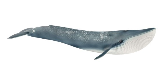 Whale Toys Schleich (700x700), Png Download