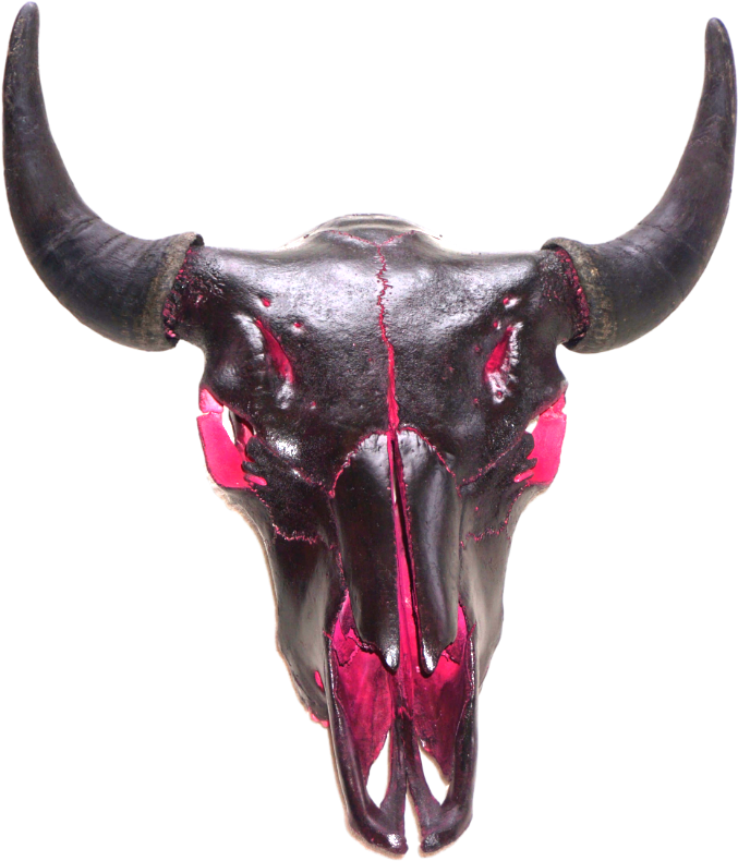 Bull (1000x1000), Png Download