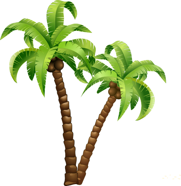 Download Palmeras - Cartoon Coconut Tree Png PNG Image with No Background - Download Palmeras - Cartoon Coconut Tree Png PNG Image with No Background -