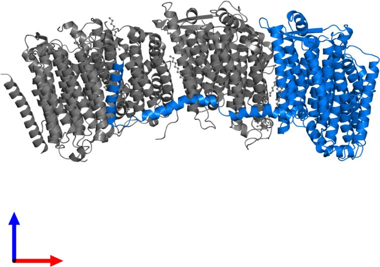 <div Class='caption-body'>pdb Entry 3rko Contains 1 - Illustration (800x800), Png Download