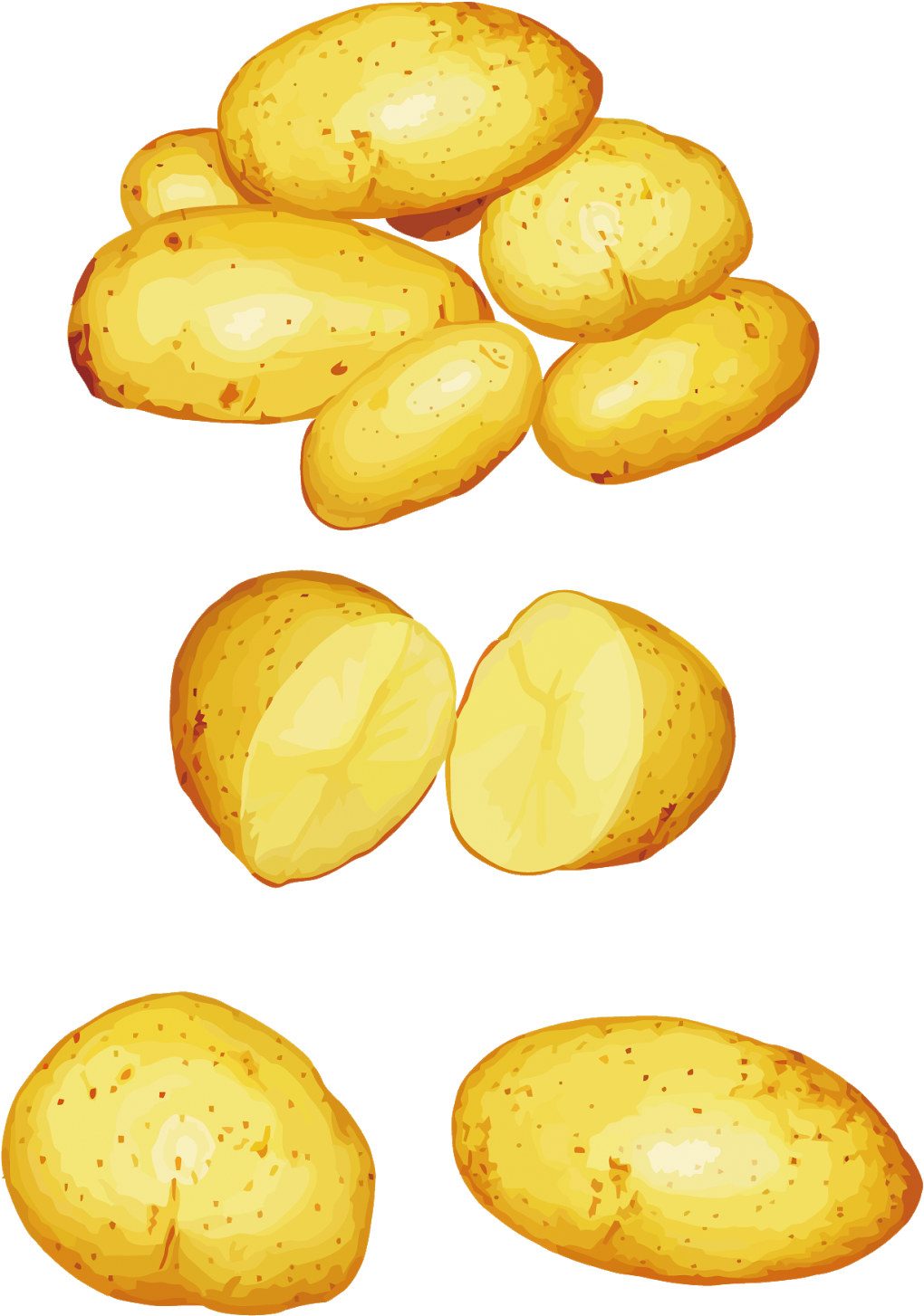 Potatoes Png Clipart - Vector (1244x1600), Png Download