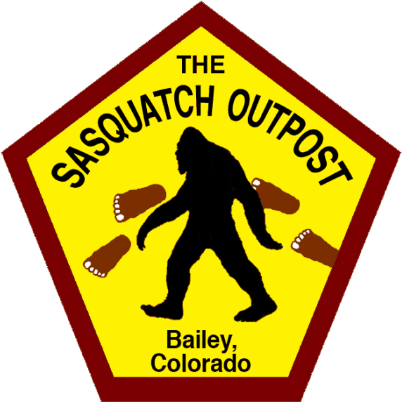 Flea Life Cycle (600x585), Png Download