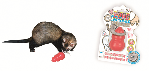 Small Animal Kong (600x600), Png Download