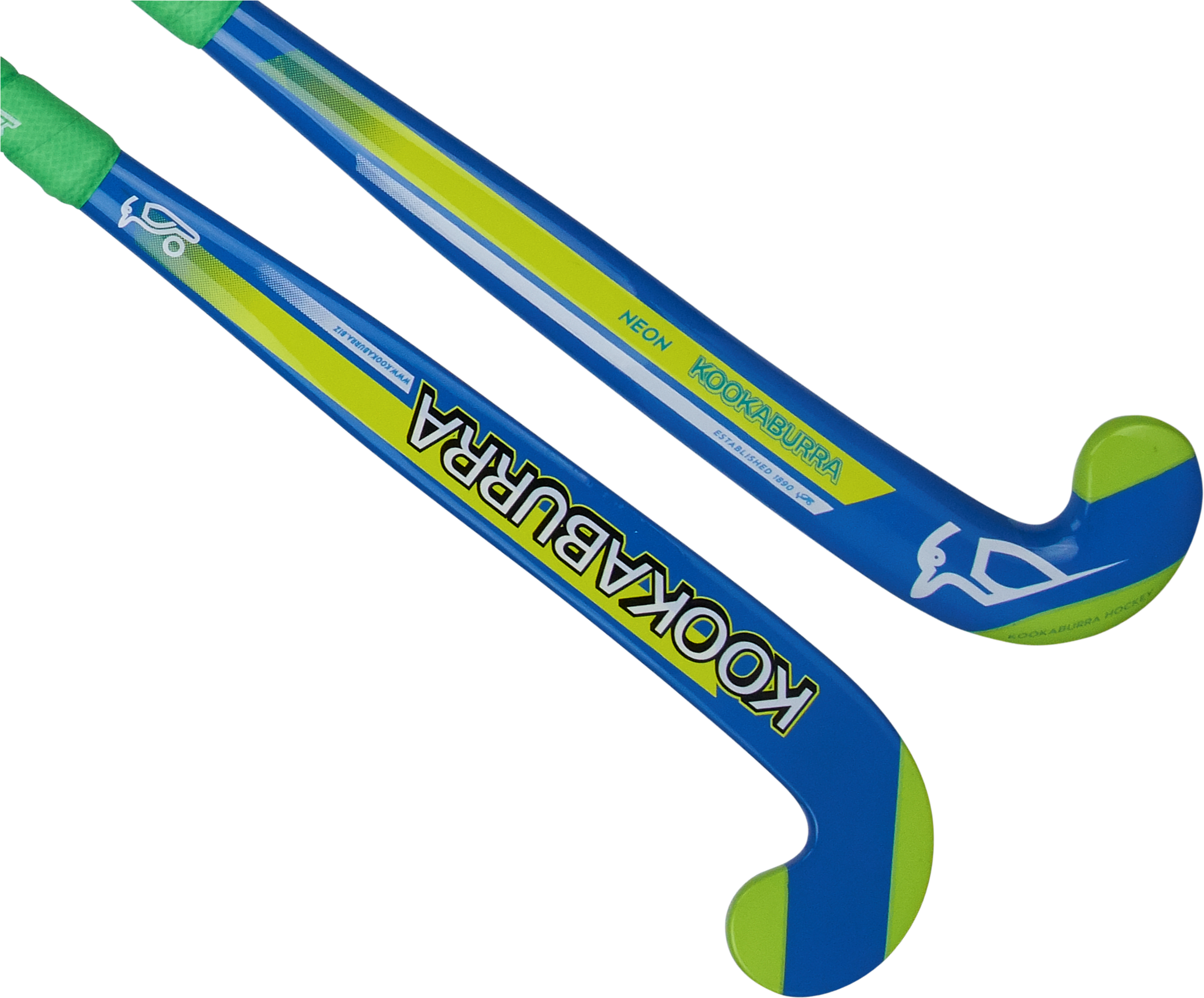 Kookaburra (2666x2119), Png Download