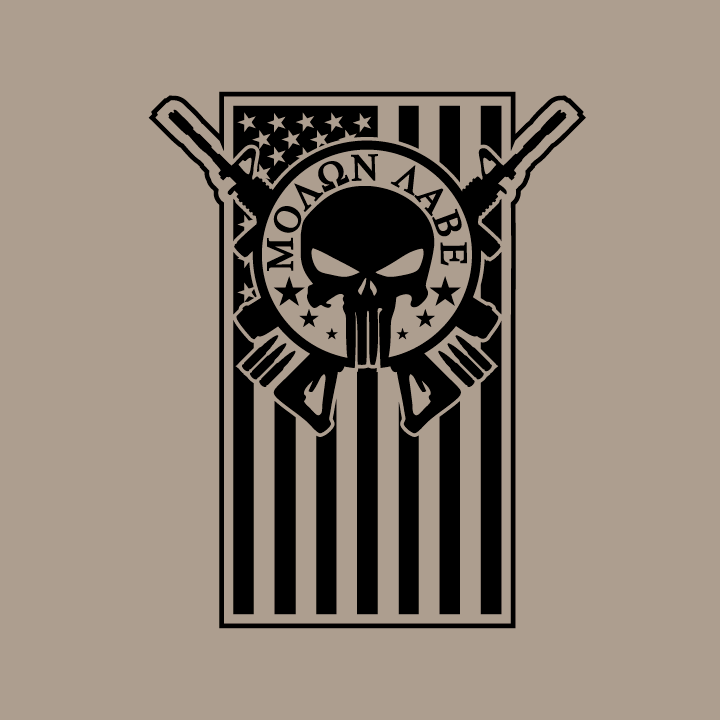 Molon Labe Clipart Punisher Skull - Molon Labe Punisher Skull (720x720), Png Download
