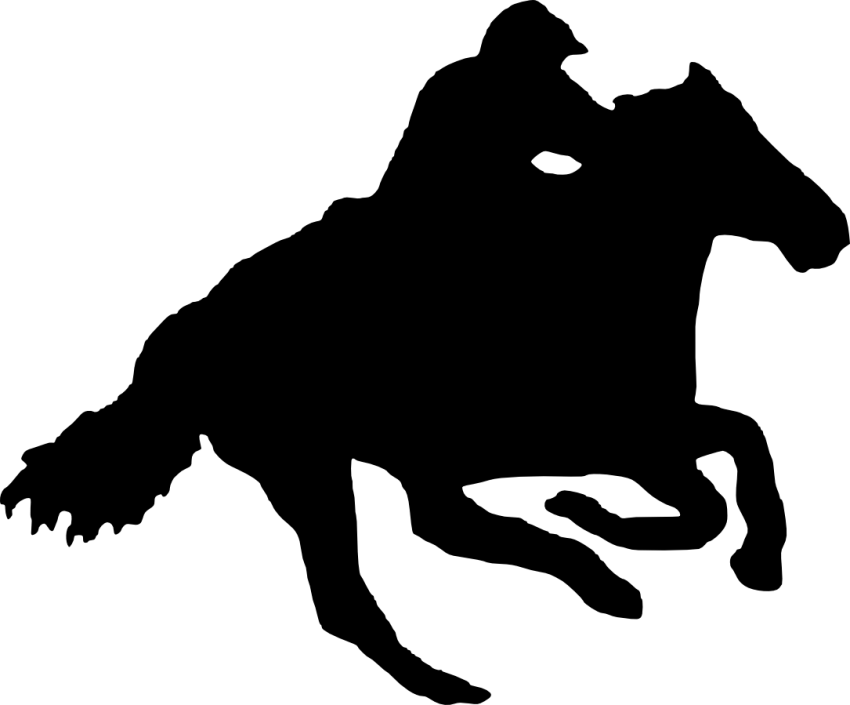 Free Png Horse Riding Silhouette Png - Cobol Icon (850x705), Png Download