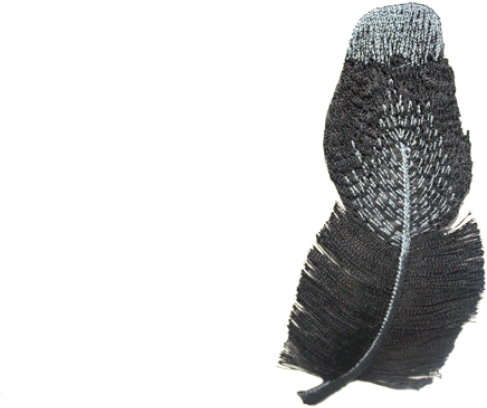 A844 - Beanie (800x800), Png Download