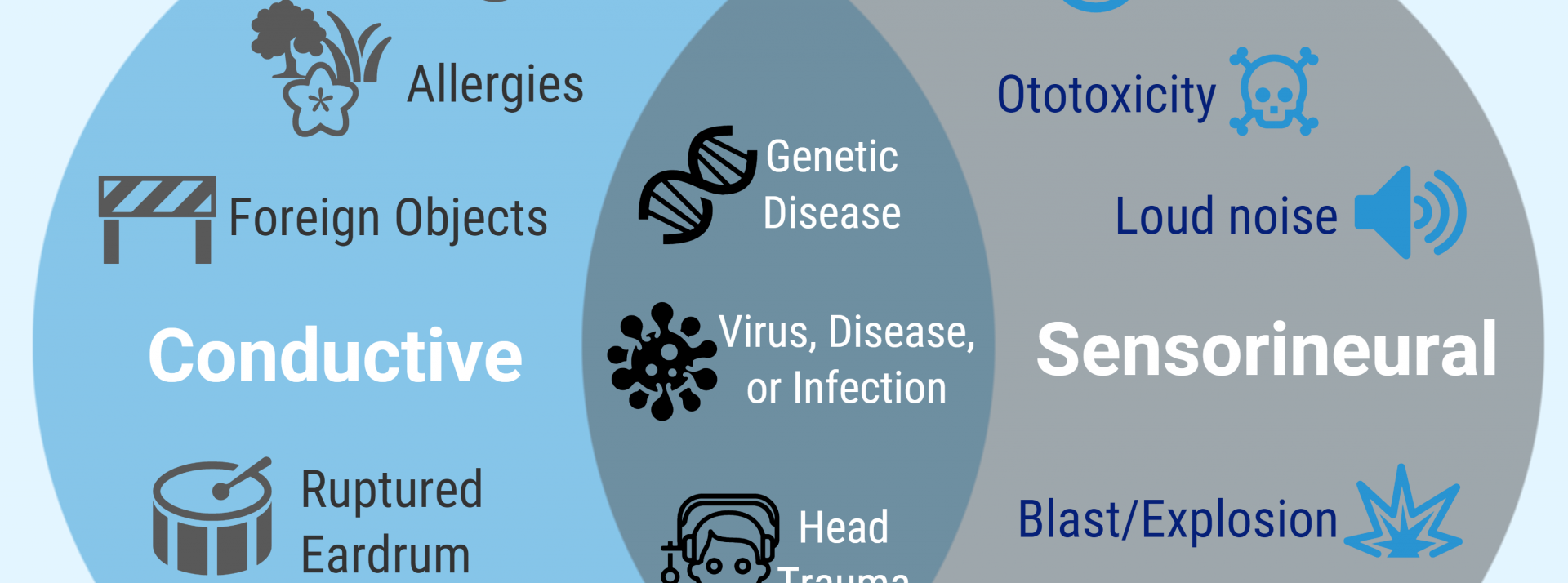 Causes Of Hearing Loss - Graphic Design (1920x714), Png Download
