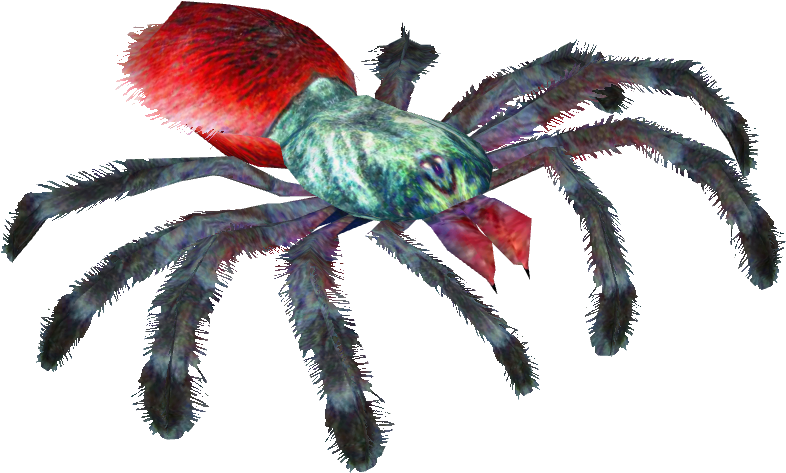 Antilles Pinktoe Tarantula (785x785), Png Download