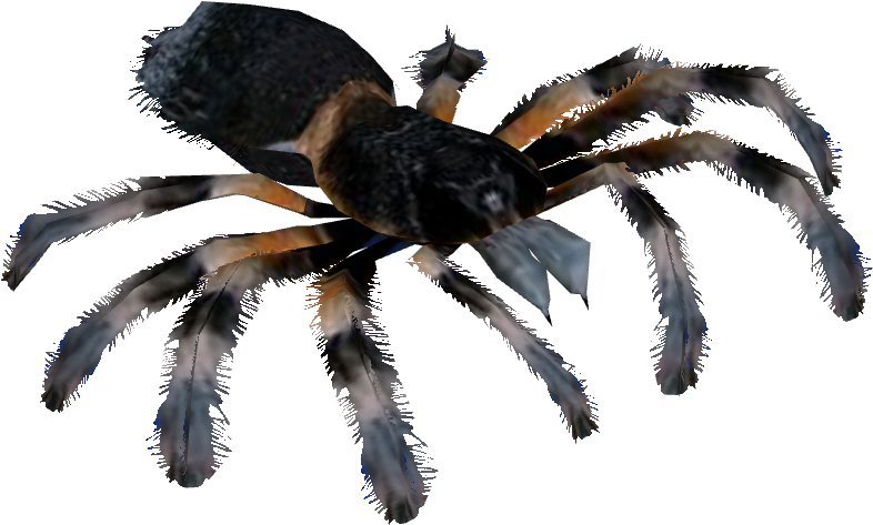Mexican Red Knee Tarantula (785x785), Png Download