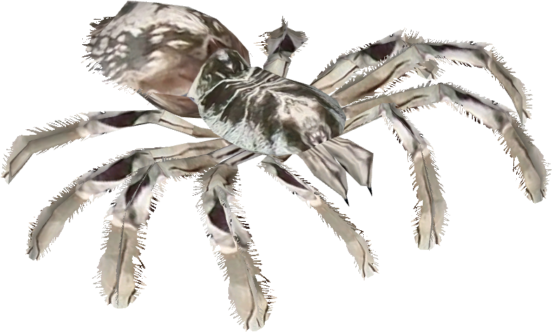 785 X 785 1 - Illustration (785x785), Png Download