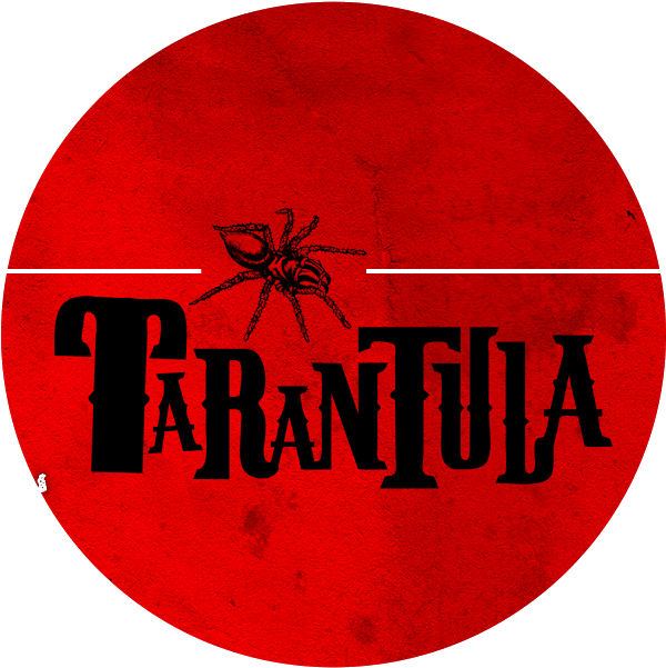 Tarantula, Folk, Wereldmuziek, Rock Band - Circle (917x648), Png Download