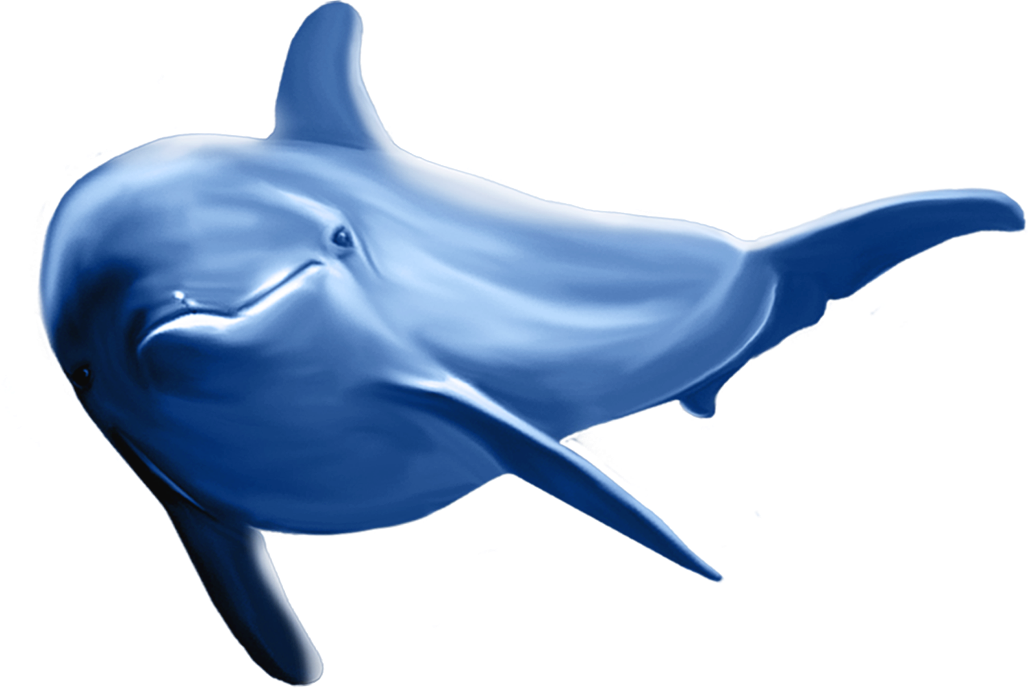 Dolphins, Art Images, Clip Art, Logos, Cartoon, Art - Dolphins Clipart (2048x1361), Png Download