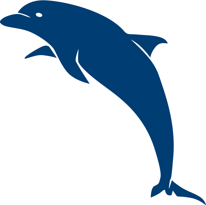 708 X 707 1 - Common Bottlenose Dolphin (708x707), Png Download