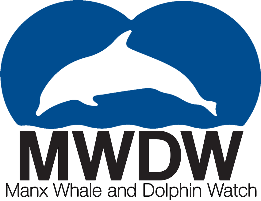Adopt A Risso's Dolphin - Wholphin (917x712), Png Download