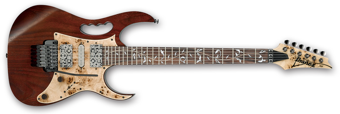 Not That Steve On Twitter - Ibanez Jem77wdp (1200x410), Png Download