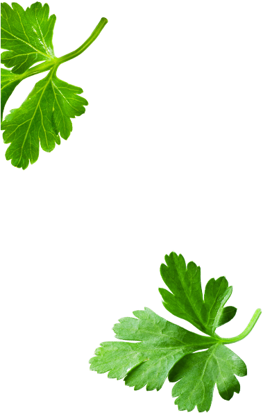 Clip Art (590x930), Png Download