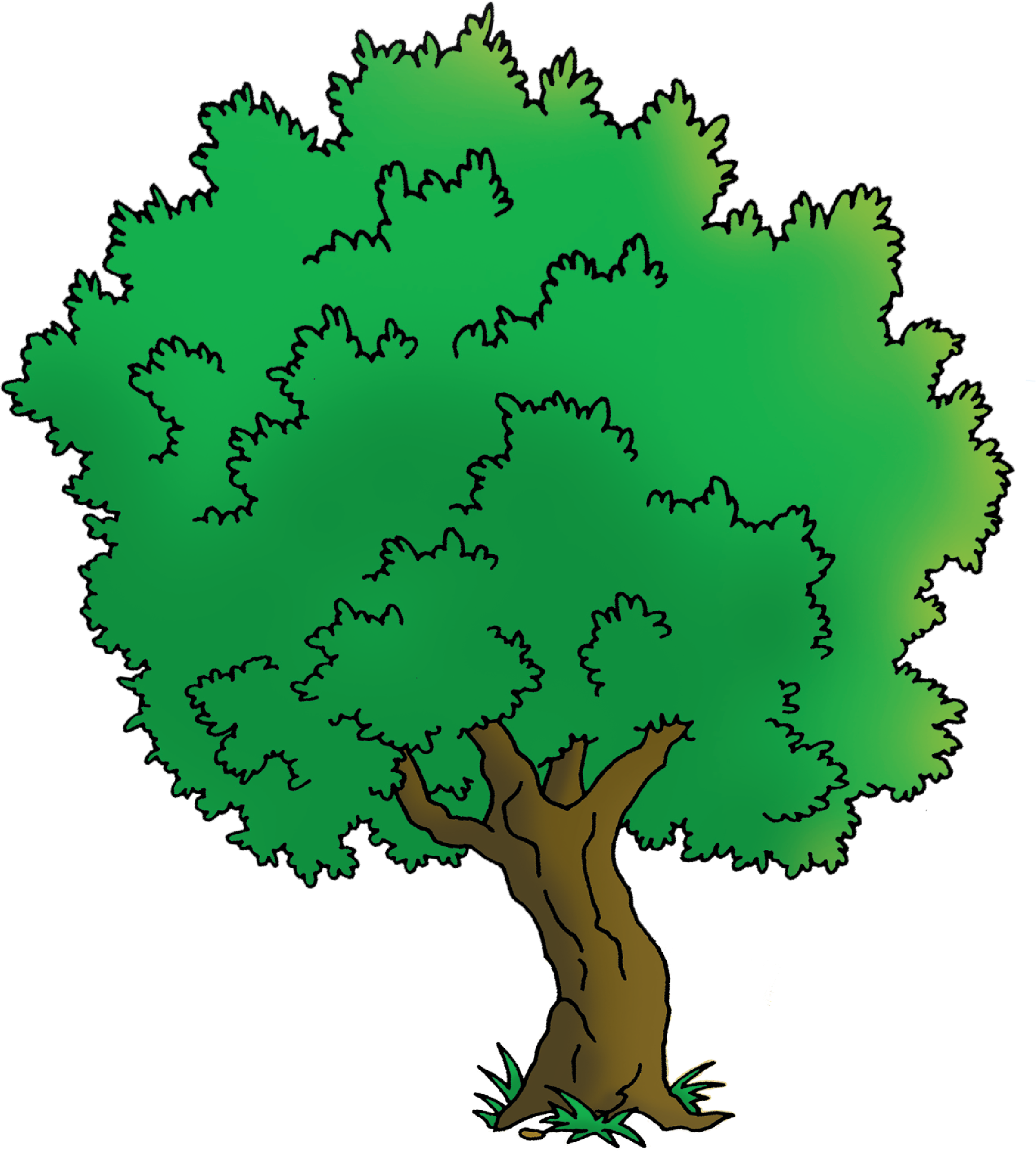 Homecaillou Cailloutree-01 - Oak (2550x3300), Png Download