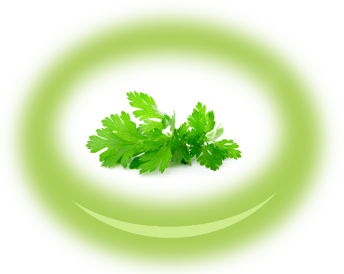 Zoom Zoom Image - Parsley (1145x910), Png Download