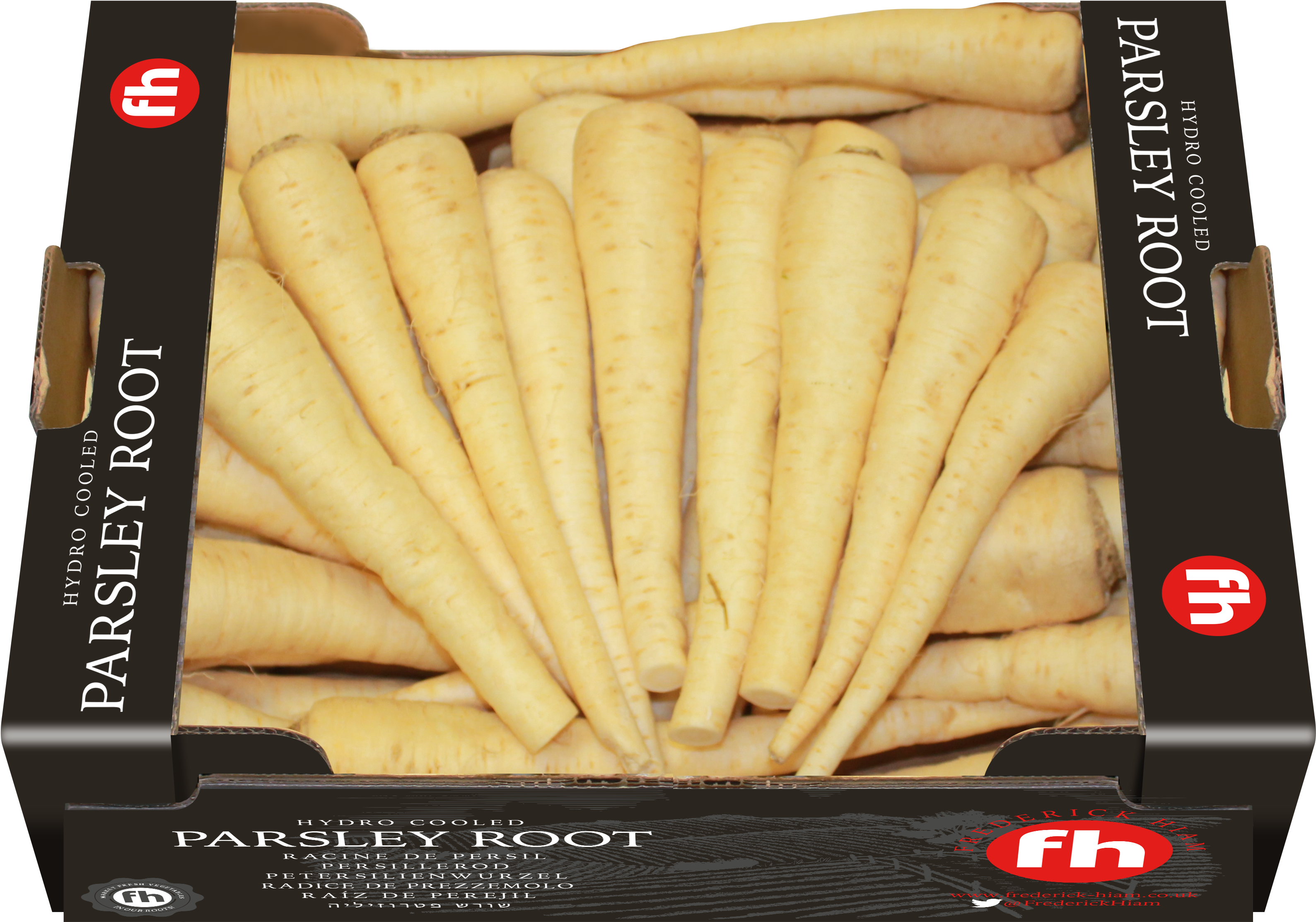 Parsley Root , Or Hamburg Parsley Is A Relatively New - Parsnip (3809x2807), Png Download