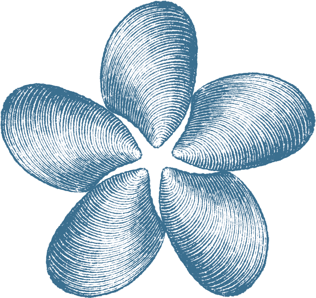 Natalie's Headshot - Illustration (1213x1167), Png Download