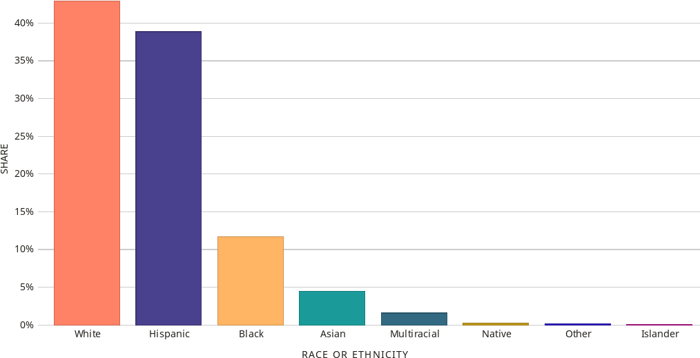 Bar Chart Of Race & Ethnicity In Texas - Flag (1024x554), Png Download