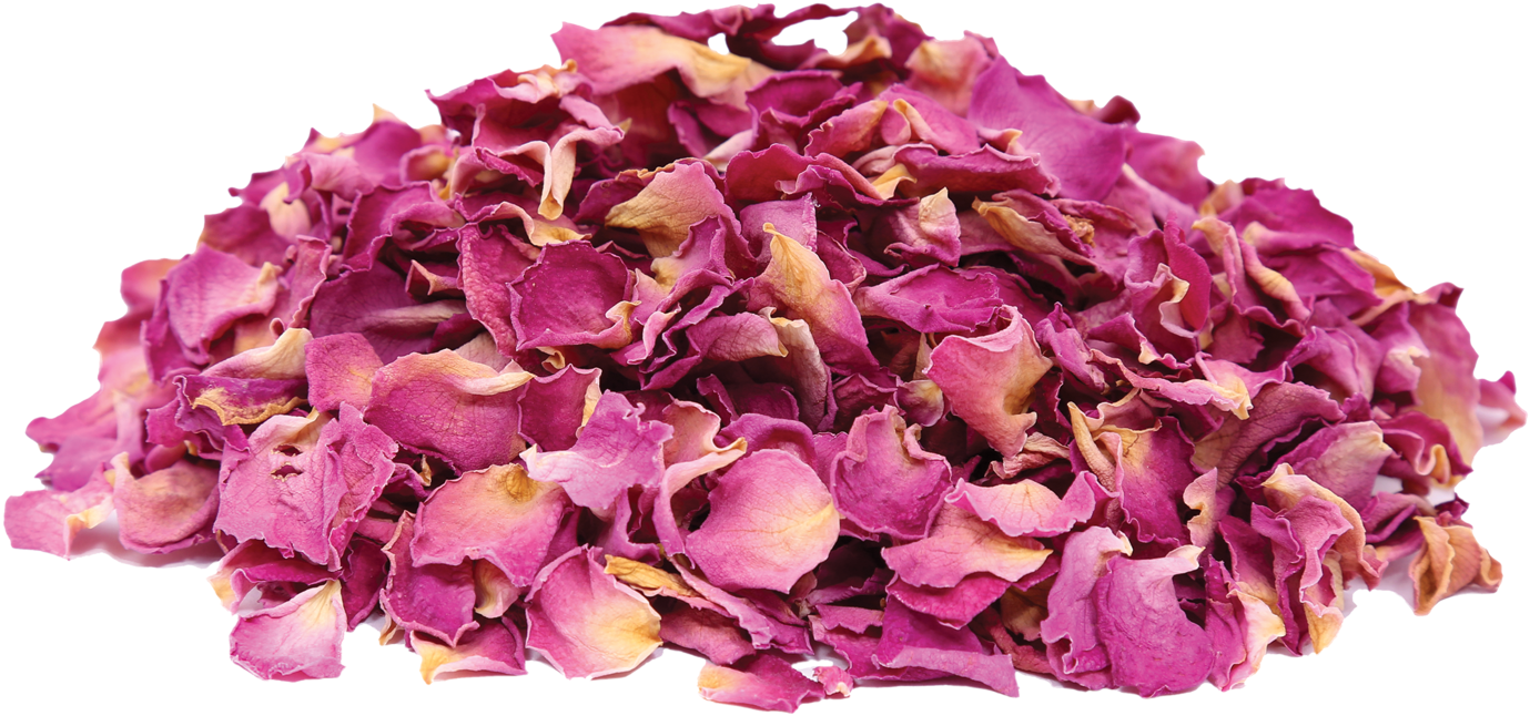 Herbs & Botanicals - Artificial Flower (1500x1000), Png Download