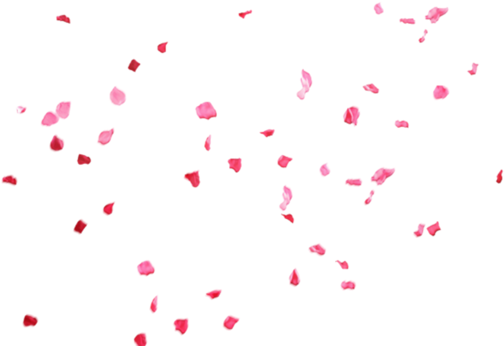 Ftestickers Sticker - Petal (1024x1024), Png Download