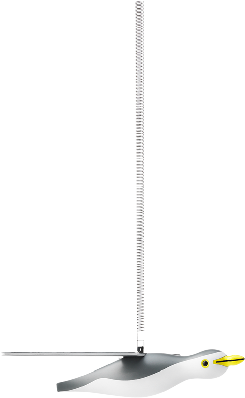 Seagull Small Grey White - Ceiling (1200x1200), Png Download