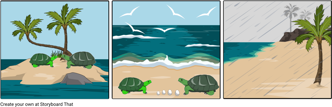 The Turtle And The Seagulls - Joyous Daybreak To End The Long Night (1164x385), Png Download