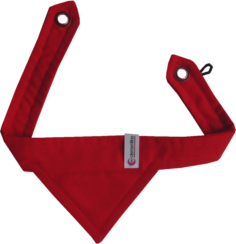 Bandana Rouge Png - Tool (800x827), Png Download