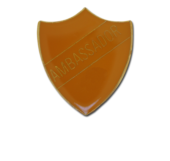 Ambassador Enamelled Shield Badge - Shield (572x541), Png Download