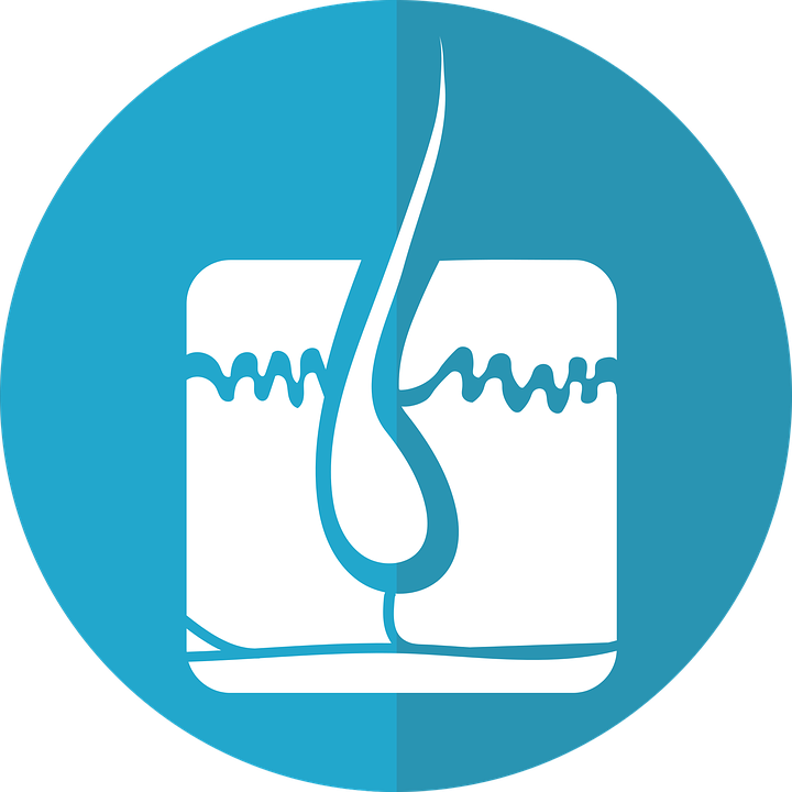 What Is An Electrolysis Laser - Foliculo Piloso Png (720x720), Png Download