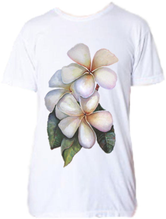 Frangipani (607x800), Png Download