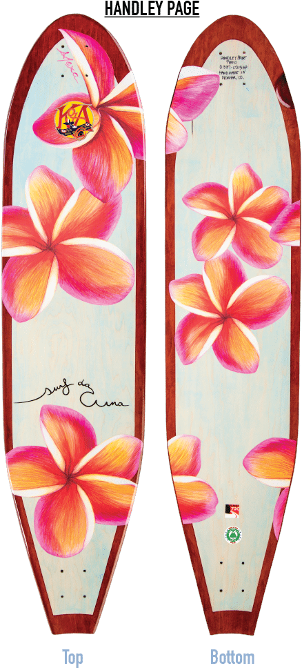 Kota Longboards - Skateboard Deck (700x1000), Png Download