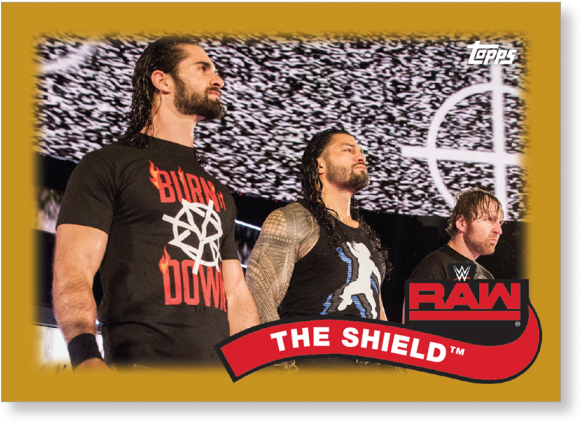 Gallery - The Shield (700x700), Png Download