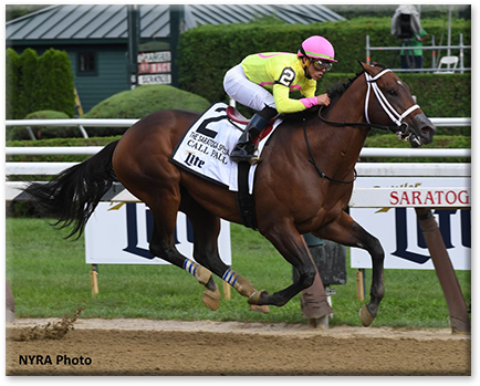 Skip To Content - Horse Racing (1000x370), Png Download