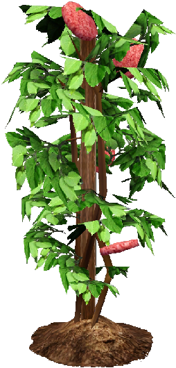 Flower Bush Png Death Eggplant Clipart - Bell Pepper Plant Png (800x600), Png Download