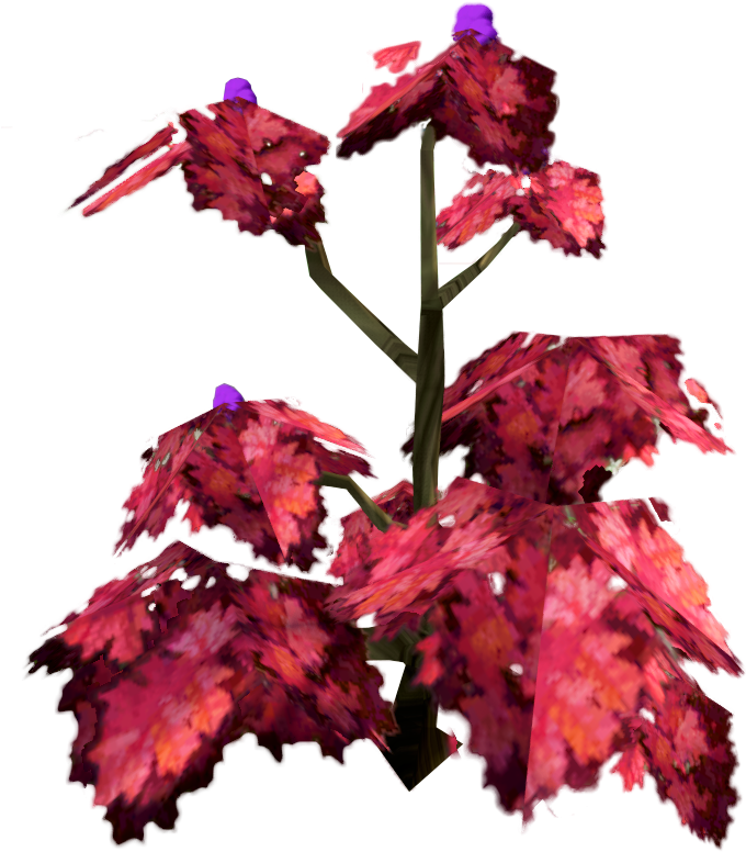 Orchid (695x816), Png Download